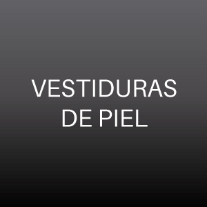 Vestiduras de Piel