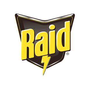 Raid